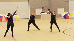 3. MVZ - indoorwedstrijd Kampen 2019 - Senioren ensemble-07                              