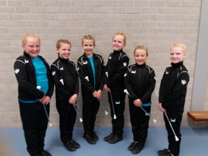 Provinciaal kampioenschap 2018 - jeugd team 6            